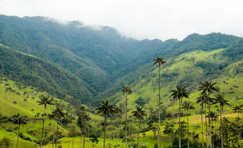 BIG_valle+de+cocora+salento+colombia_15373917981457